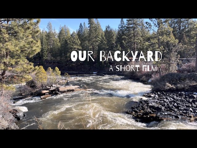 Our Backyard ~ A short film