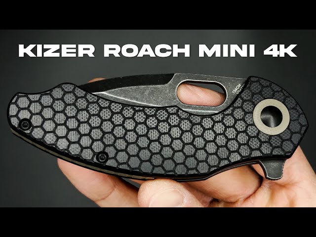 Kizer Roach Mini Knife | Up Close 4K