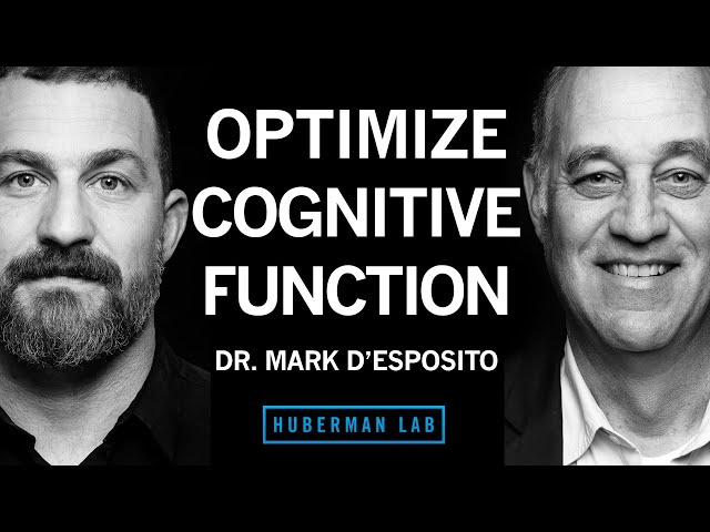 Dr. Mark D'Esposito: How to Optimize Cognitive Function & Brain Health