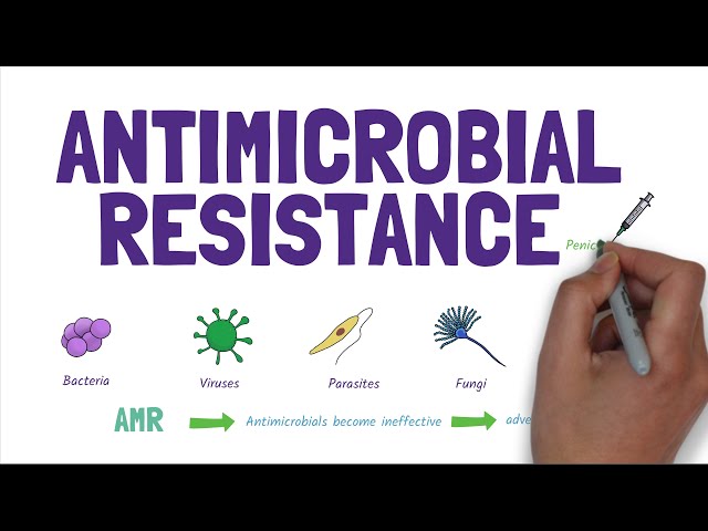 Antimicrobial Resistance (AMR): Stopping the rise of superbugs!
