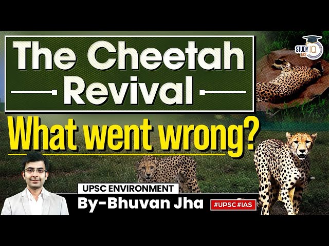 India's Cheetah Reviving Plan: Cheetah from Namibia Dies in Kuno National Park | UPSC Mains