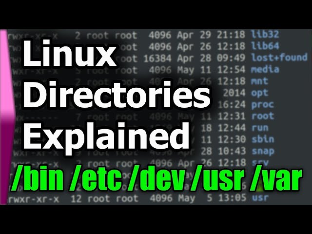 Linux File System/Structure Explained!