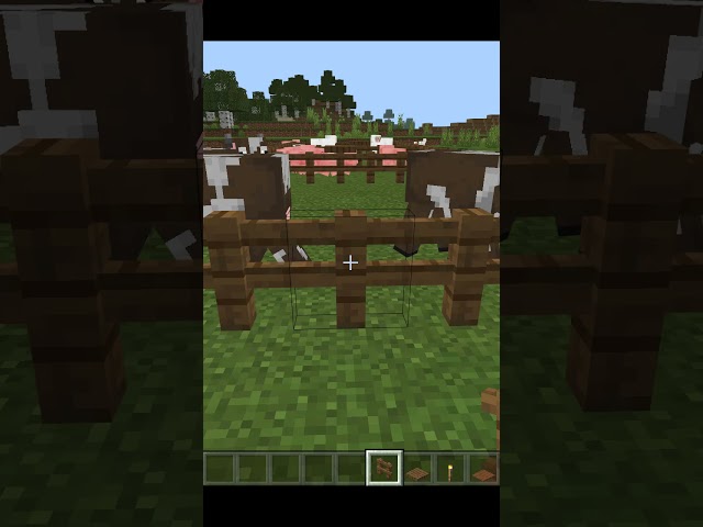 Minecraft Shorts  - Better than a Gate, Faster and More Secure