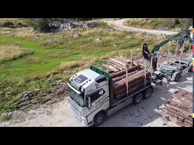 Holztransport Aujesky Holz | unterwegs mit Dominik