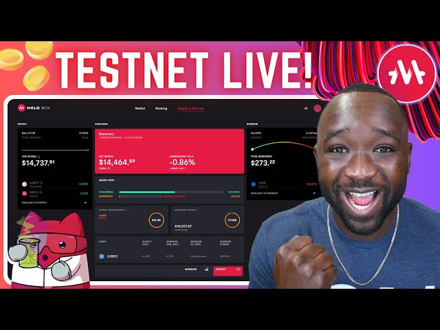 MELD Testnet LIVE -  Showcasing IMPRESSIVE Design and Features!