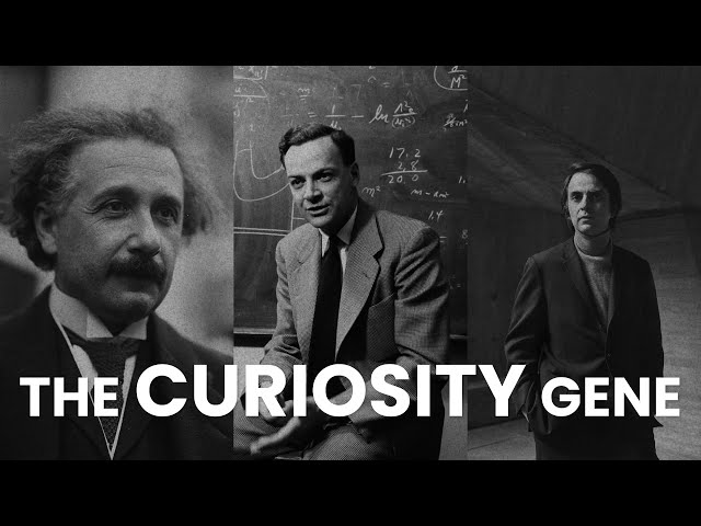 THE CURIOSITY GENE - POINT OF UNCERTAINTY
