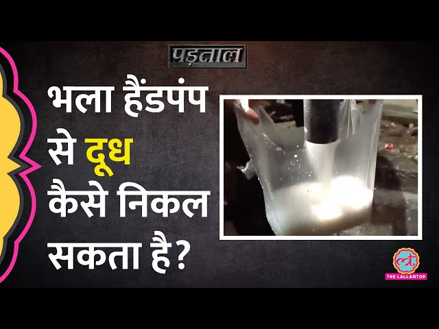 UP के Moradabad में हैंडपंप से दूध निकलने की सच्चाई क्या है?| Padtaal