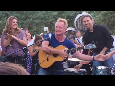 Sting Live & cover band