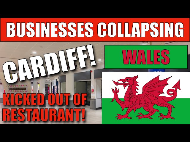 🔵 The Business Collapse Continues