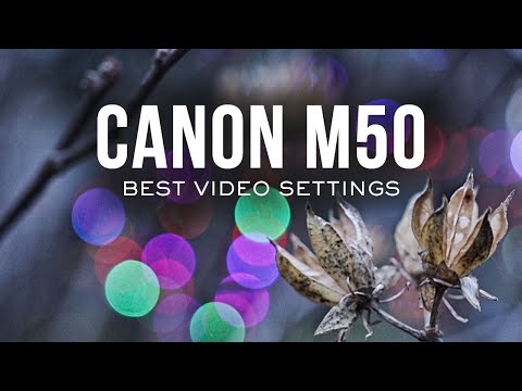 Canon M50 Best Video Settings |  Part 1