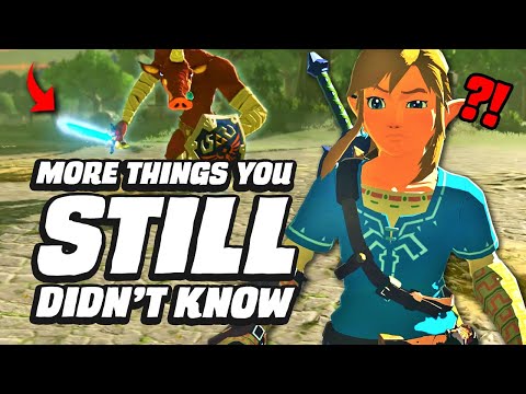 26 MORE Things You STILL Didn't Know In Zelda Breath Of The Wild