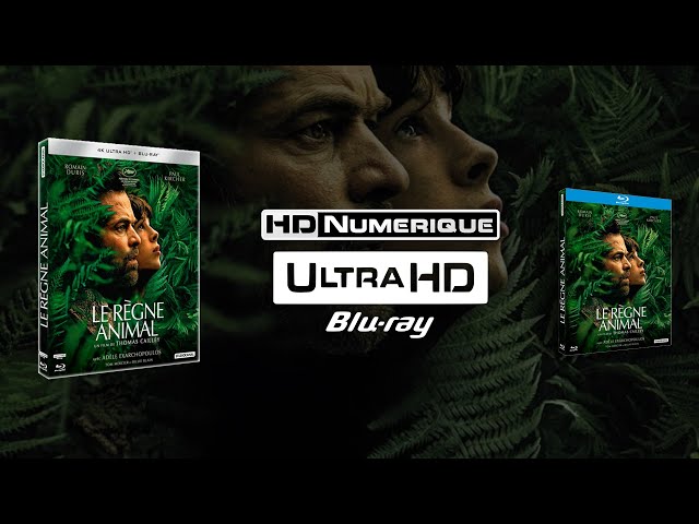 The Animal Kingdom (2023) : 4K Ultra HD vs Blu-ray Comparison