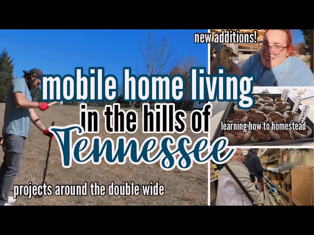 LARGE FAMILY MOBILE HOME LIVING IN THE HILLS OF TENNESSEE | spend the week with me | new additions!