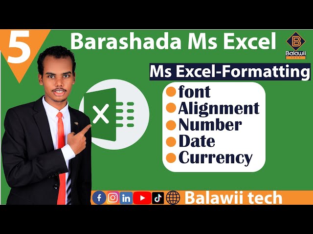 5.Ms Excel Formatting || Qurxinta farta iyo lanbariska