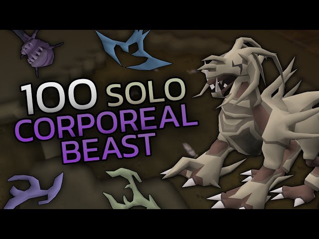 Loot From 100 SOLO Corp
