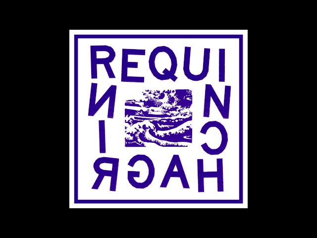 Requin Chagrin - RC