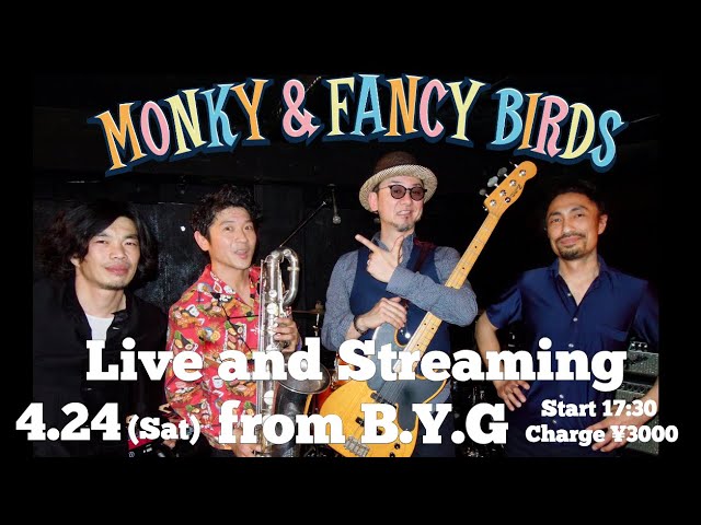 ４月２４日 MONKY & FANCY BIRDS   Live and Streaming from 渋谷BYG