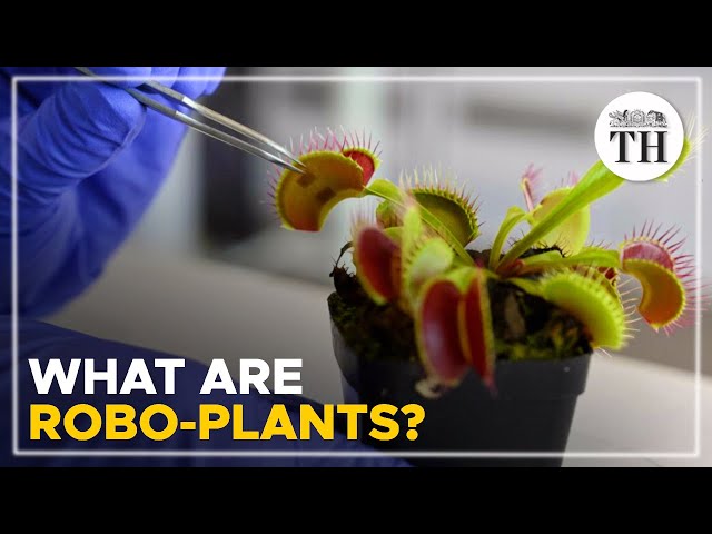 Scientists develop ‘robo-plants’ to interact with plants