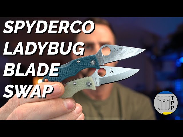 Spyderco Ladybug Blade swap