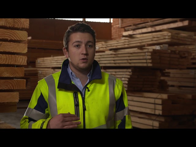 Holzverarbeitung in regionalen Sägewerken