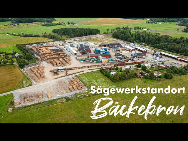 ZIEGLER GROUP Sägewerk Bäckebron (Schweden)