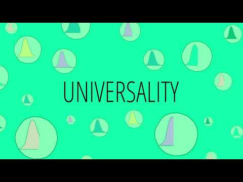 What Is Universality?