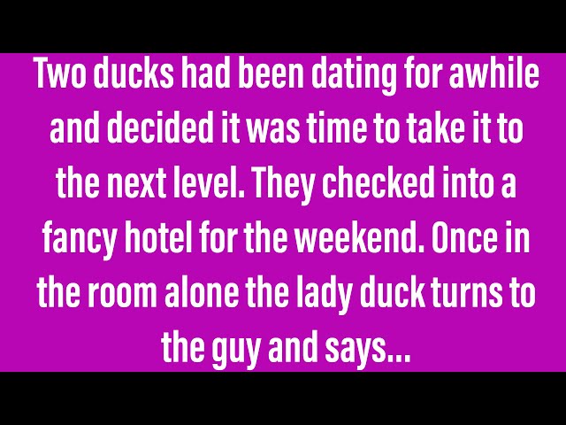 Jokes To Tell Your Friends, Two Ducks Wanted A Romantic Weekend In A Fancy Hotel.