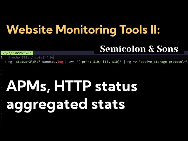 Website Monitoring Tools II: APMs, HTTP status aggregated stats