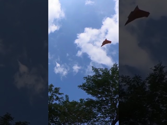 coolest flying paper airplane