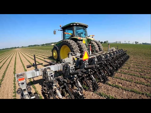Hiniker 6000 Cultivating Organic Soybeans