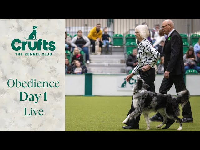 Obedience Day 1 LIVE | Inter-Regional Rally Competition | Crufts 2024
