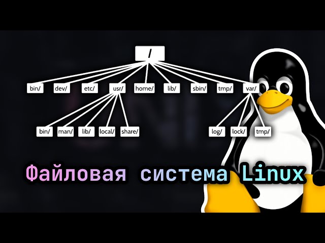 📂 Иерархия директорий Linux за 2 минуты