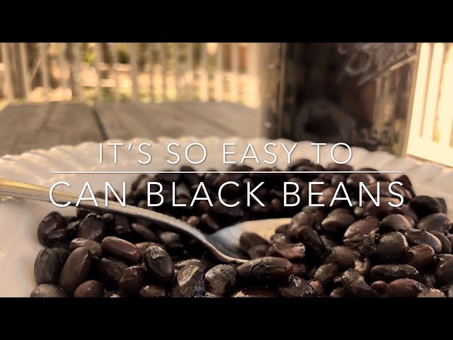 Canning Black Beans Is So Easy!!