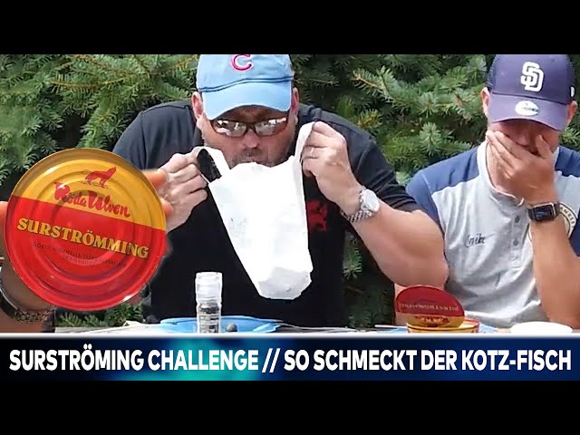Surströmming Challenge // So schmeckt der Kotz-Fisch