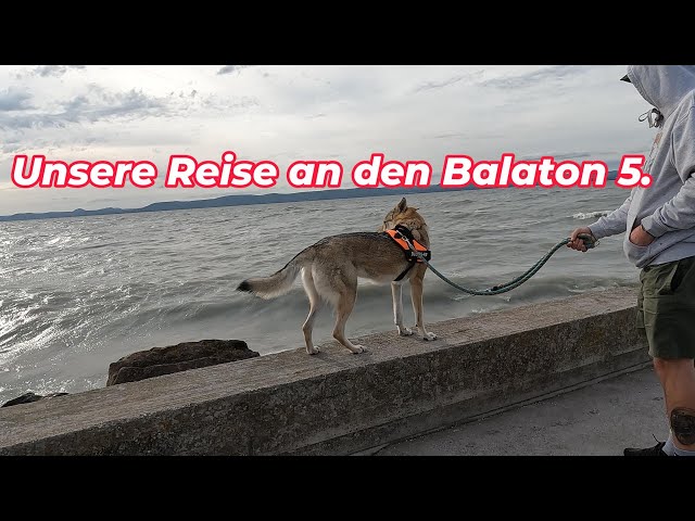 Unsere Reise an den Balaton in Ungarn 🇭🇺 . Wir entdecken die ersten Sehenswürdigkeiten. Folge 5.