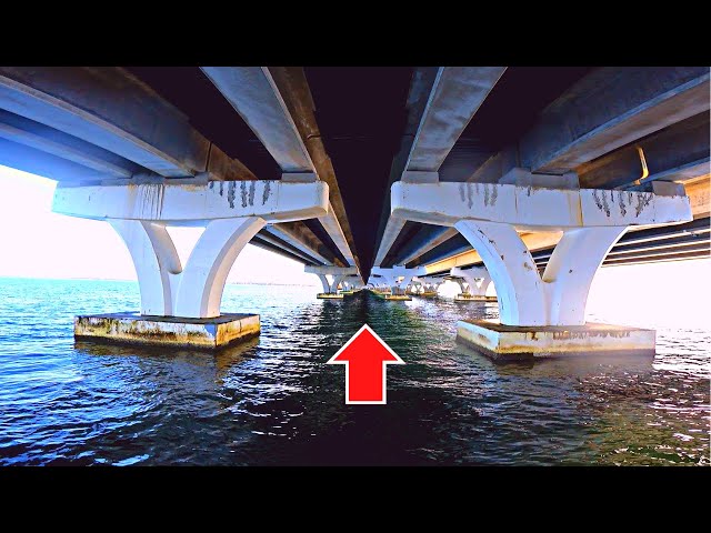 Dropping BAIT Under This BRIDGE for SALTWATER FISH