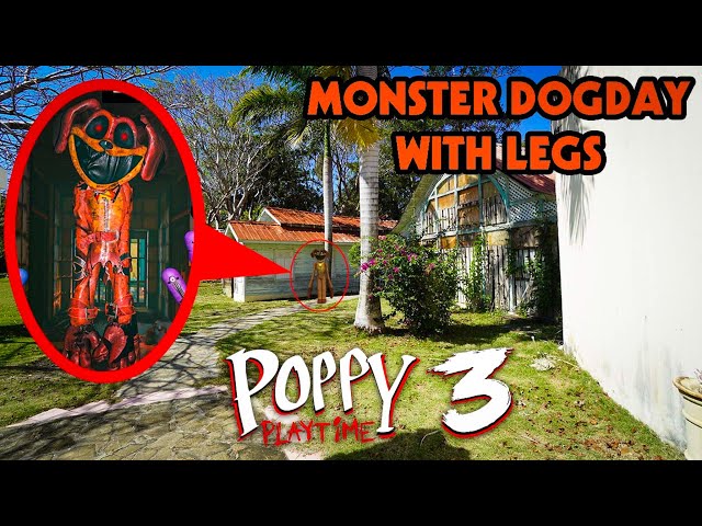 I FOUND CURSED MONSTER DOGDAY WITH LEGS IN REAL LIFE AT THE POPPY PLAYTIME ISLAND (POPPY PLAYTIME 3)