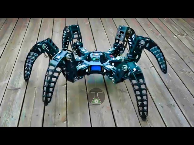 Scary looking Giant Spider Robot For Prank ( MXPhoenix )