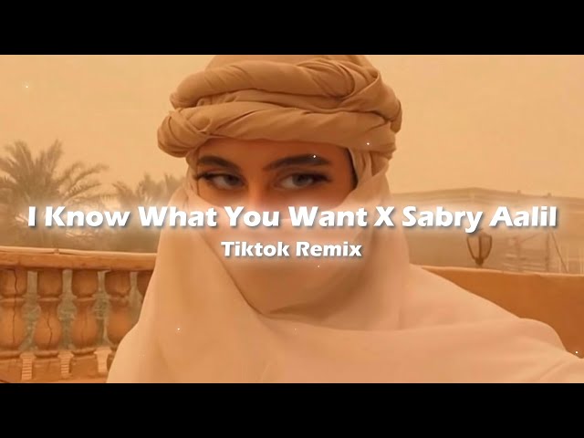 I Know What You Want X Sabry Aalil (Tiktok Remix)