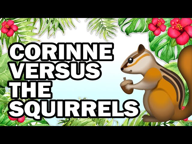 🐿 Hanging with My Squirrel Friends, Corinne VS Gardening