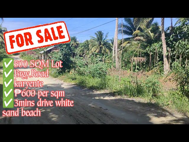#96 small Lot for sale 500sqm