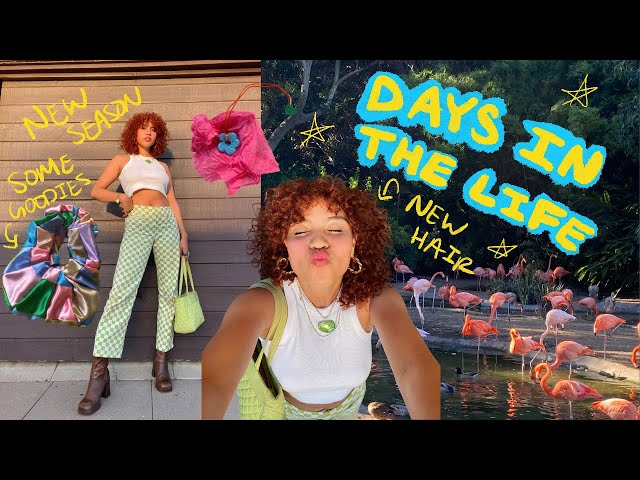 sd vlog: days in the life | dyeing my hair, mail day, zoo