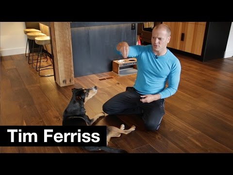 Tim Ferriss: 2016 | Tim Ferriss