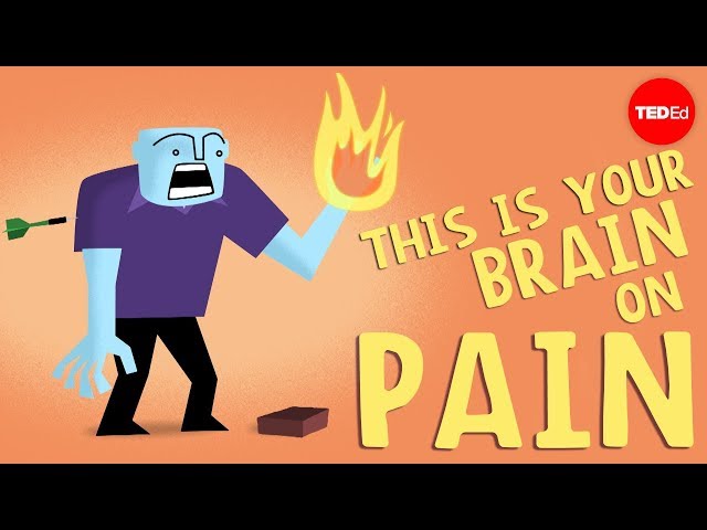 How does your brain respond to pain? - Karen D. Davis