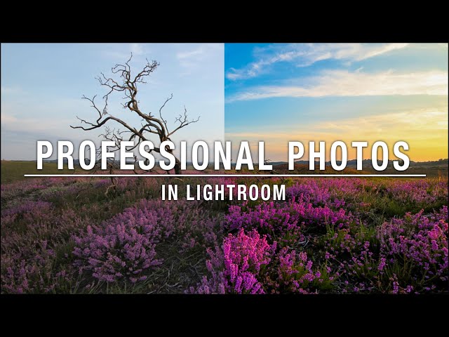 How to use Lightroom to make any photo look professional