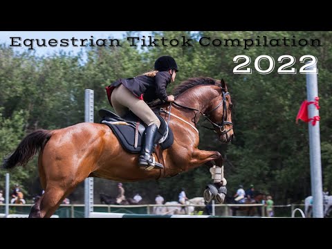 Equestrian Tiktok Compilation | by Sarah & Horses