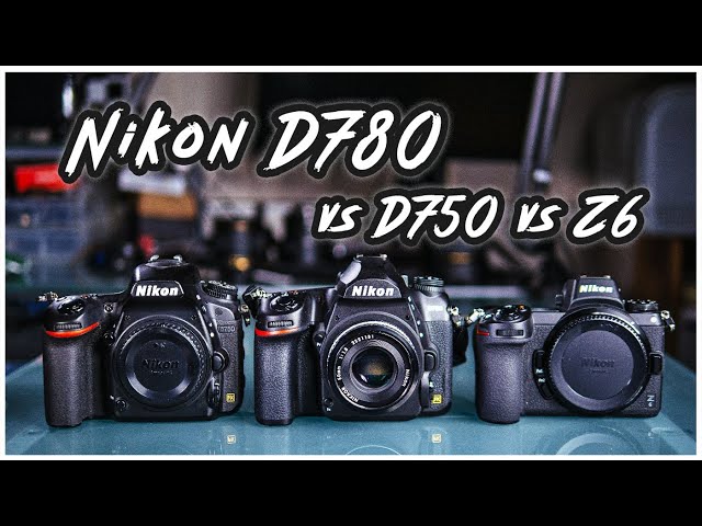 Should you upgrade to Nikon D780 or Z6?    Nikon D780 In-depth review