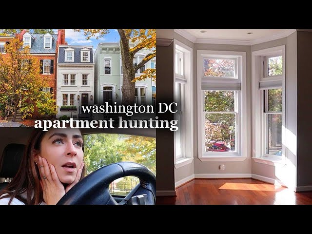 DC Apartment Hunting (5 apartments w/ rent prices + tips, escaping depression..)