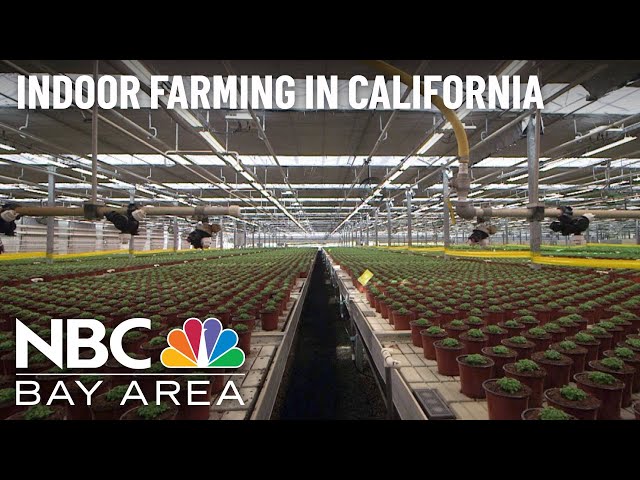 Climate Change and Drought Could Drive More Indoor Farming