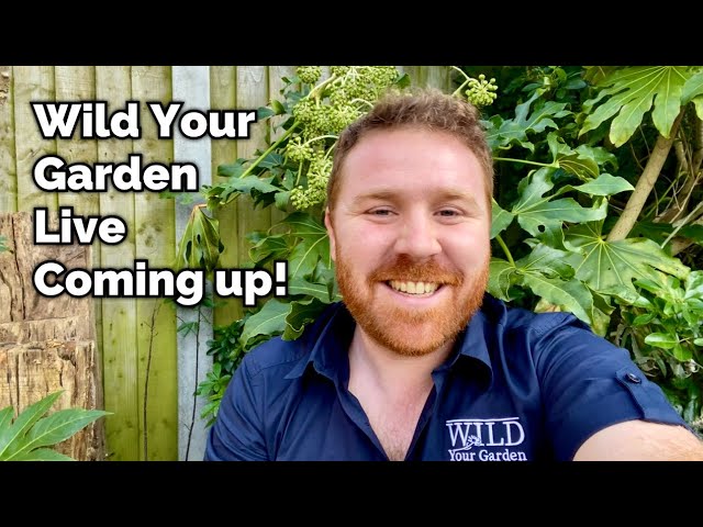 Wild Your Garden LIVE - Episode 4 - Reminder